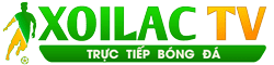 bóng đá trực tiếp hôm nay
